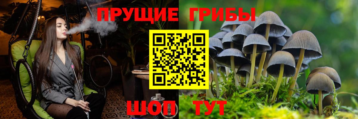 Галлюциногенные грибы Psilocybe Октябрьский